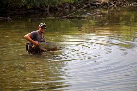 60,000+ Free Fly Fishing & Fishing Images .